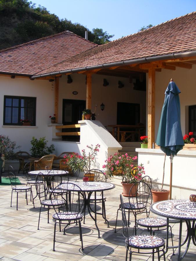 Erzsebet Pince Apartment Tokaj Luaran gambar